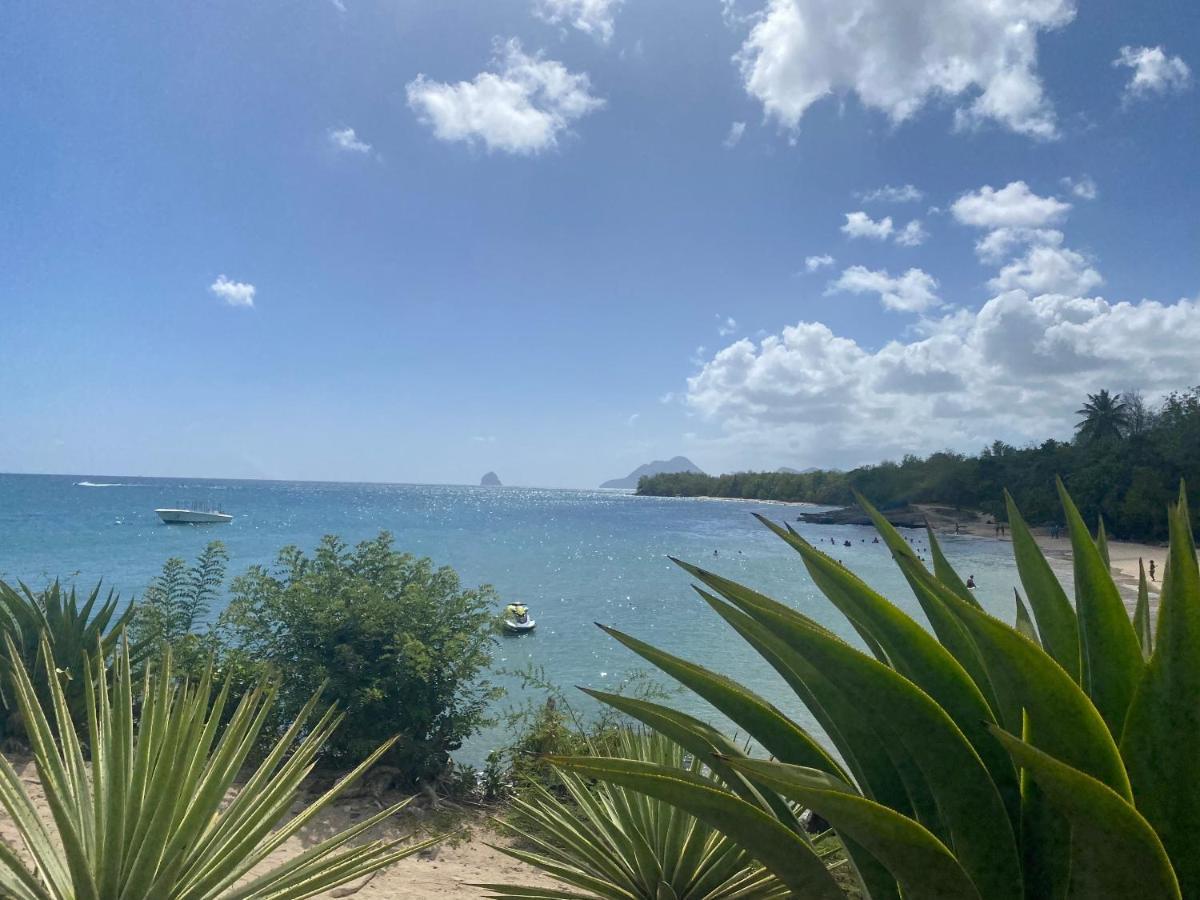 Studio Rdc La Desirade Martinique Acces Direct Plage Sainte-Luce Eksteriør bilde