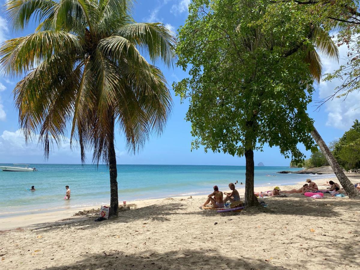 Studio Rdc La Desirade Martinique Acces Direct Plage Sainte-Luce Eksteriør bilde