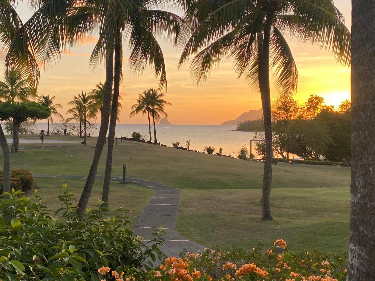 Studio Rdc La Desirade Martinique Acces Direct Plage Sainte-Luce Eksteriør bilde